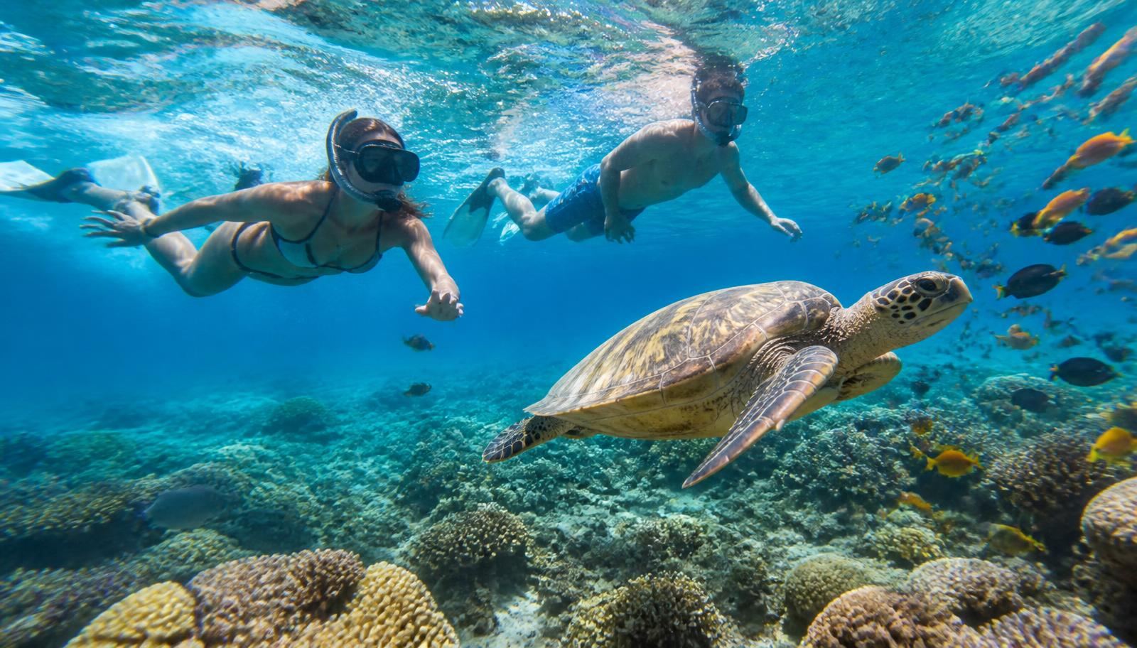 Zanzibar Snorkeling & Diving Guide: Everything You Need to Know