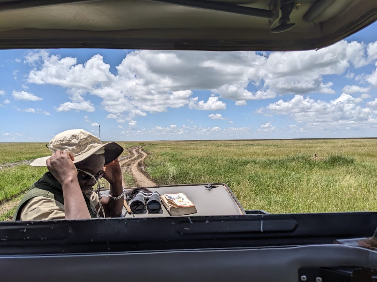 Olympus Adventure guide tracking distant wildlife with binoculars in the Serengeti